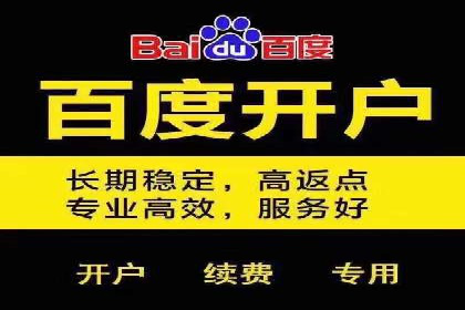关键词竞价排名实战案例精选解析